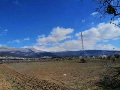 SATILIK VERİMLİ TARLA – ISPARTA GÖNEN BEDEL ÇUKURU MEVKİİ