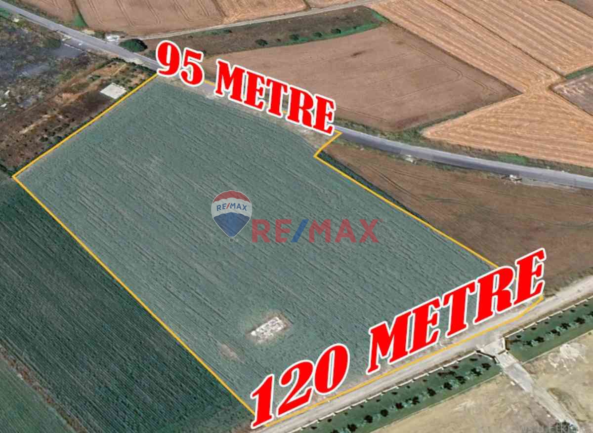 İSTANBUL CELALİYE 20 BİN 449 M2 SATILIK DENİZ MANZARALI