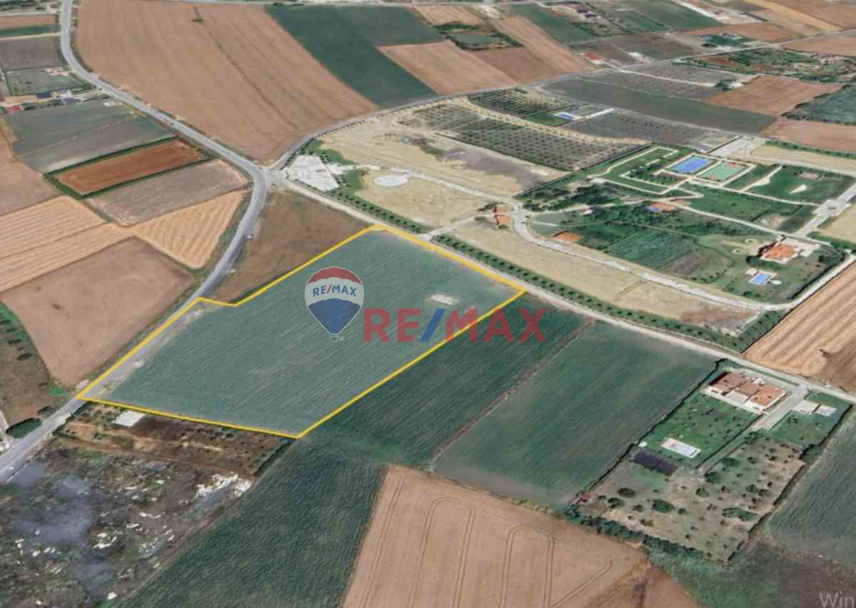 İSTANBUL CELALİYE 20 BİN 449 M2 SATILIK DENİZ MANZARALI