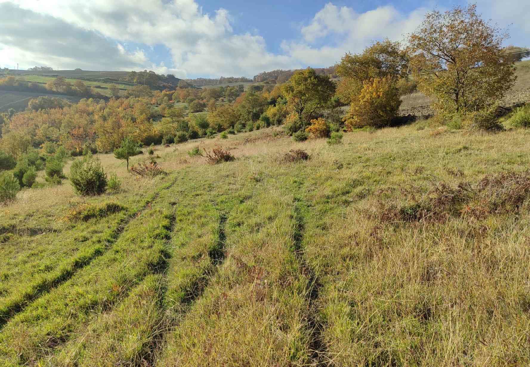 KUZEY RÜŞTÜ ERDAYANDI SARIIŞIKTA SATILIK TARLA