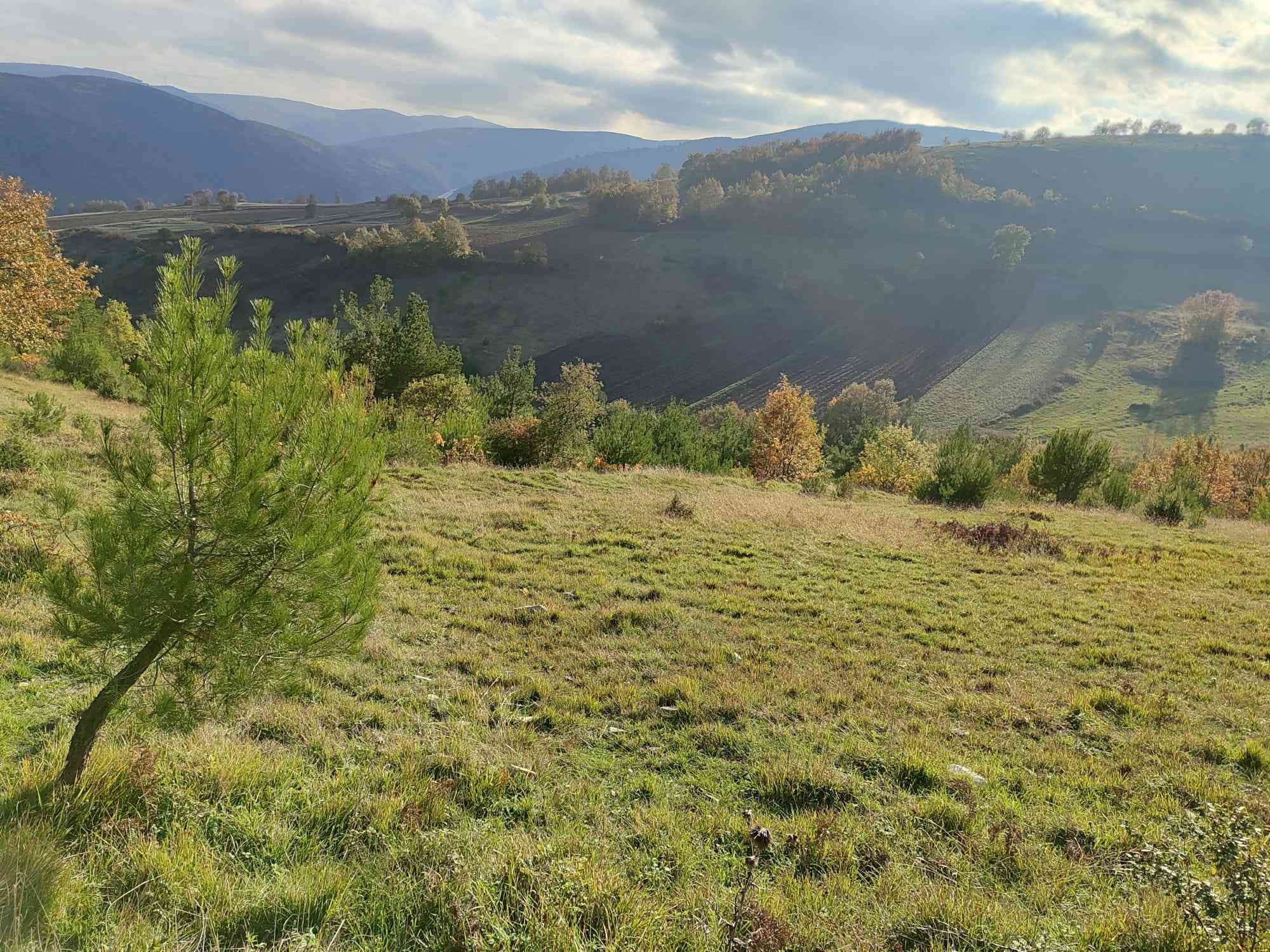 KUZEY RÜŞTÜ ERDAYANDI SARIIŞIKTA SATILIK TARLA