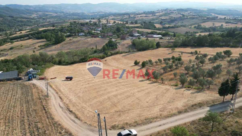 REMAX FREKANS TAN İHSANİYE DE SATILIK TARLA