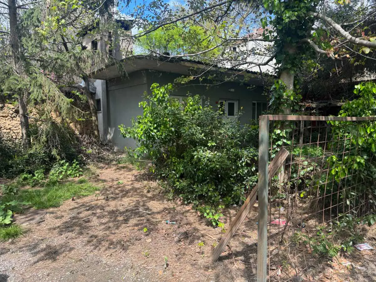 Property image 42
