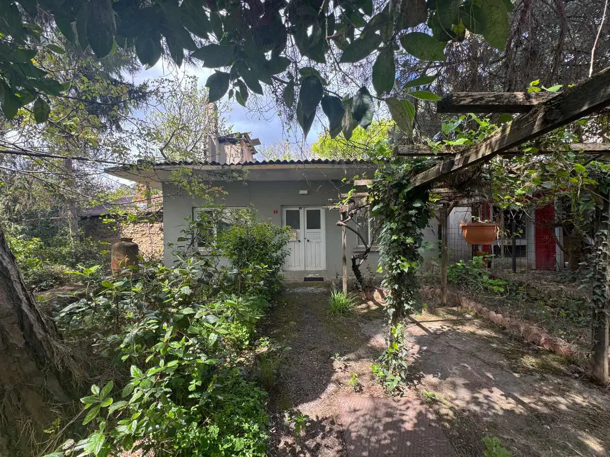 Property image 54