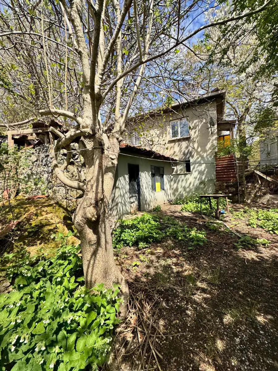Property image 35