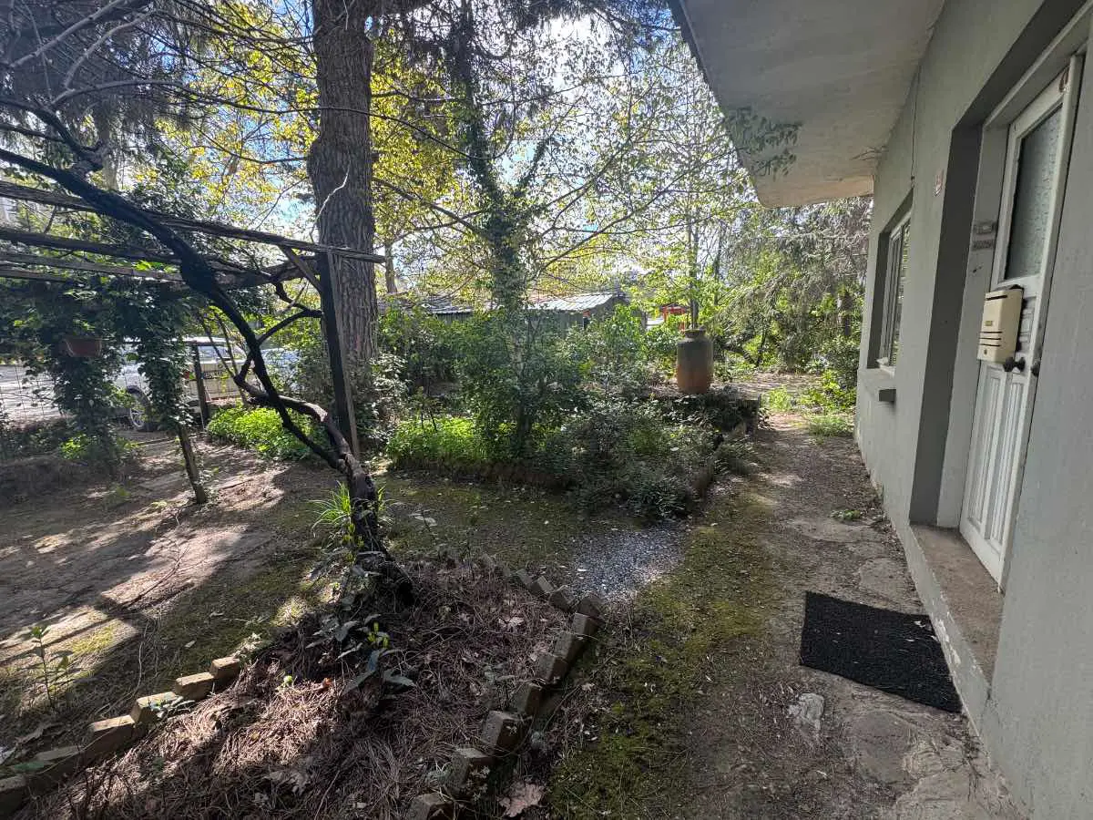 Property image 50