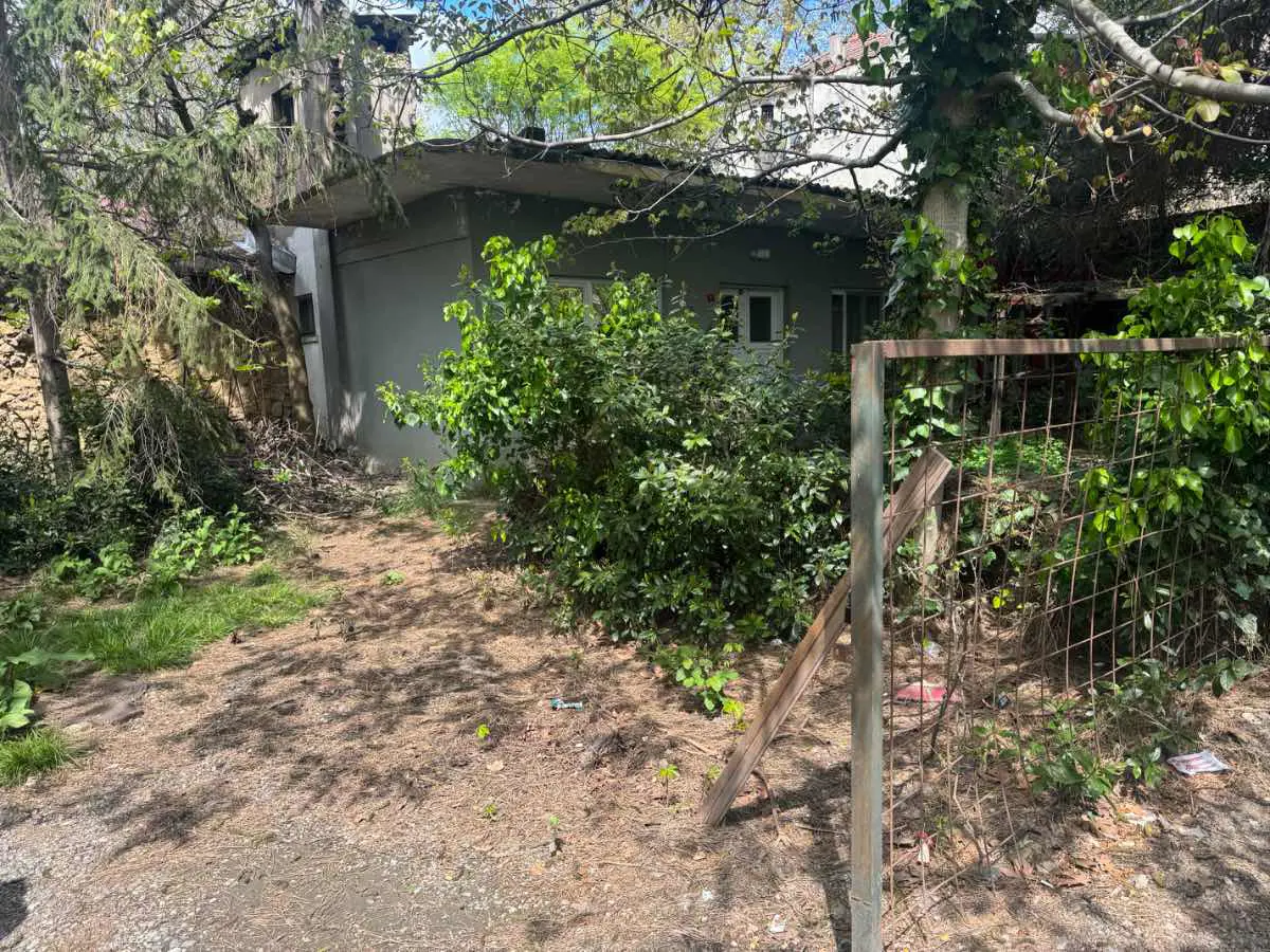 Property image 41