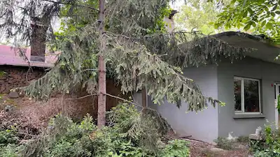 BEYKOZ GÖKSU'DA DEREYE SIFIR 1926M² SATILIK ARSA