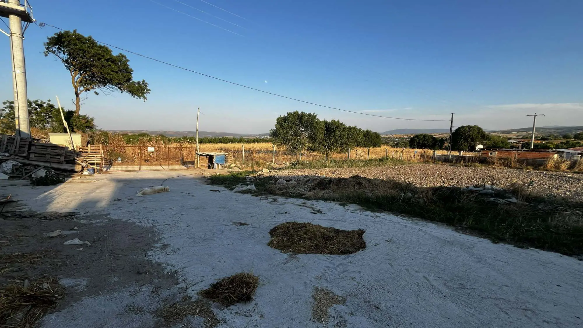 Property image 28