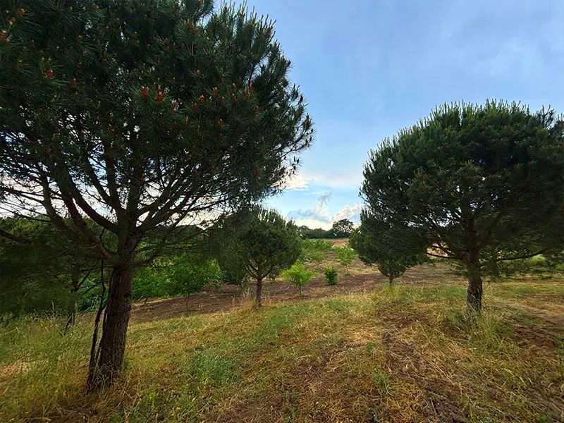 Property image 23