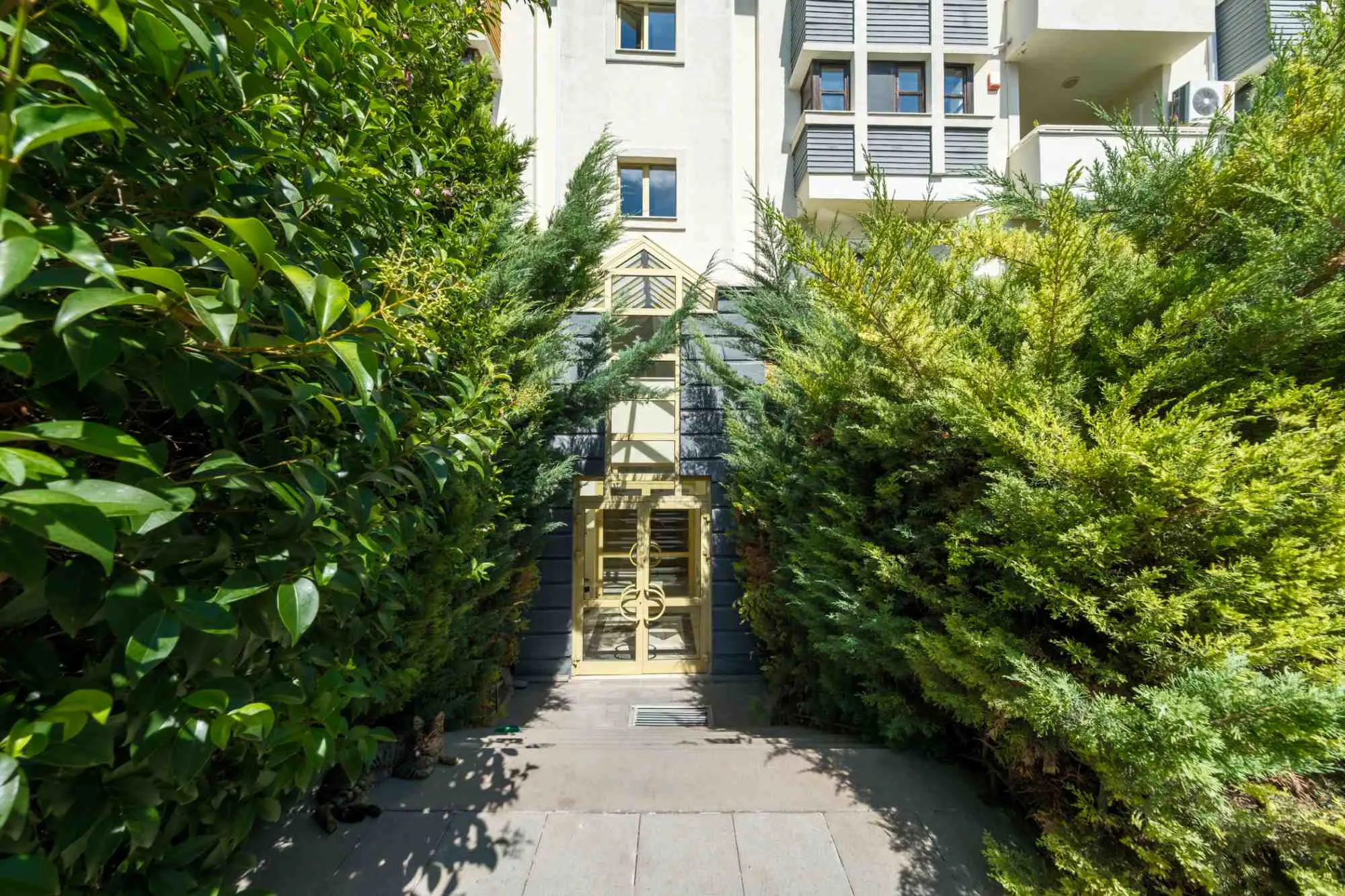 Property image 41