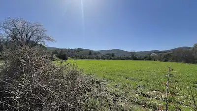 KIRKLARELİ MERKEZ KARAHAMZA KÖYÜNDE YATIRIMLIK ATA