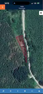 EVCİ GÖKSEKİ TEPESİNDE SATILIK FINDIK BAHÇESİ