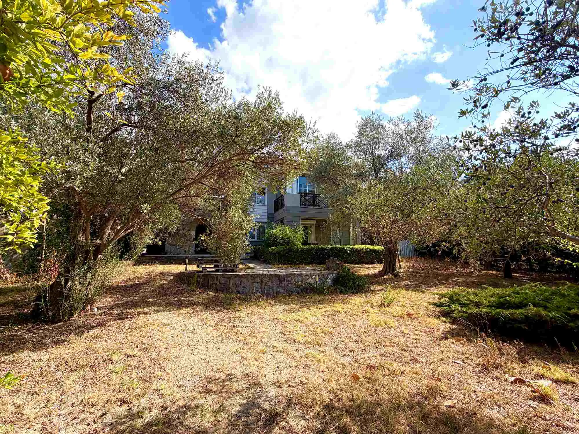 Property image 23