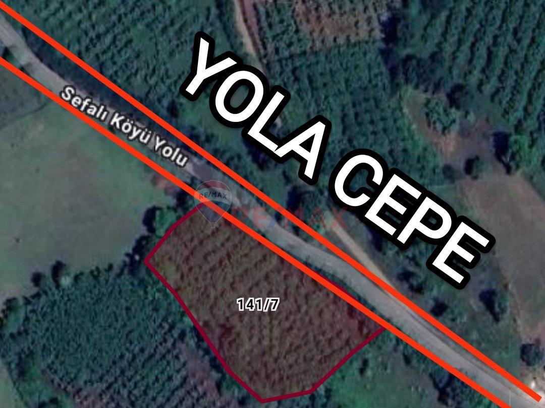 Samsun Çarşamba Sefali de Satılık 2.535m² Yatırımlık Tarla Fındıklık 