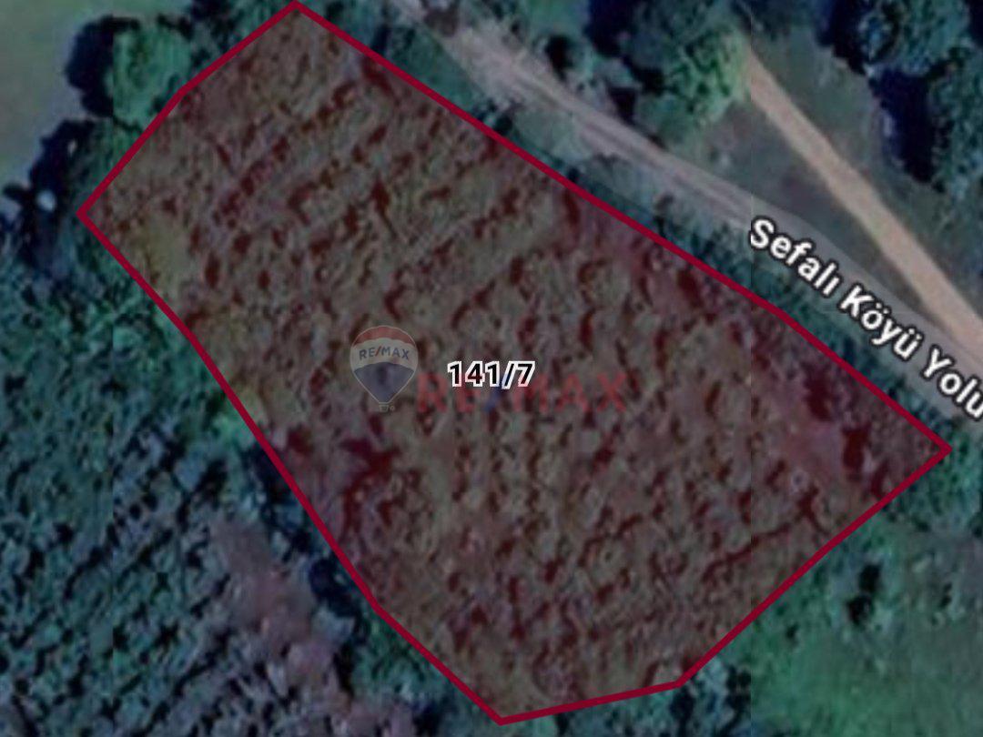 Samsun Çarşamba Sefali de Satılık 2.535m² Yatırımlık Tarla Fındıklık 