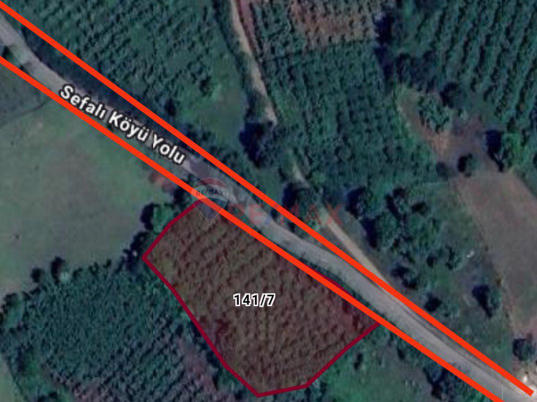 Samsun Çarşamba Sefali de Satılık 2.535m² Yatırımlık Tarla Fındıklık 