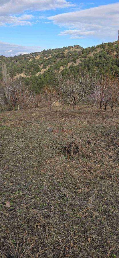 Manisa/Salihli/Bahcecik"de Satılık bahçe
