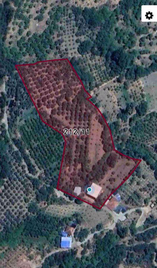 Manisa/Salihli/Bahcecik"de Satılık bahçe
