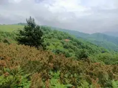 REMAX KANYON SENAİYEDE 15 DÖNÜM ARAZİ