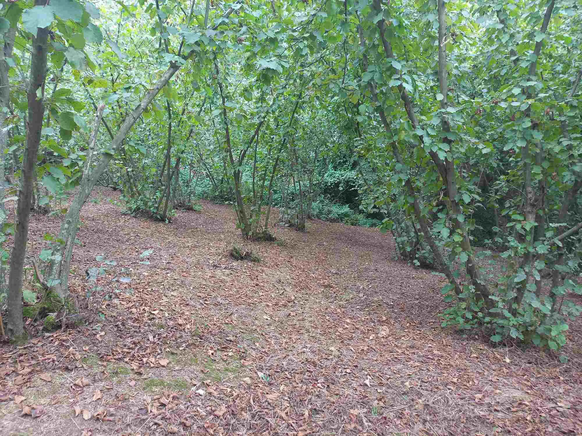 Property image 27