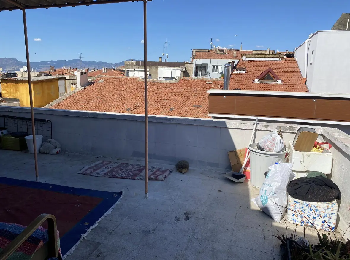 Property image 11