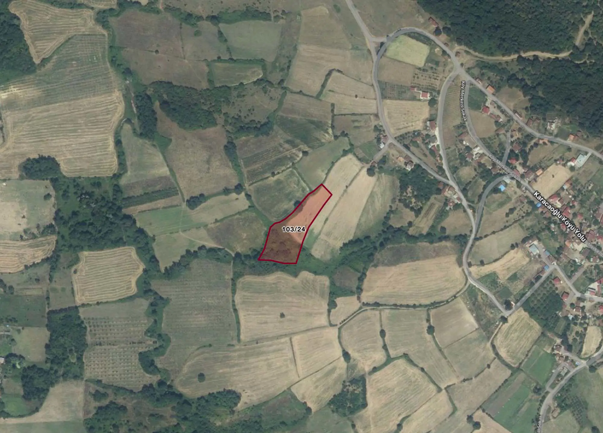 Property image 9