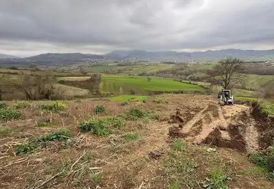 19 MAYIS KARACAOĞLU'NDA 7322 METRE SATILIK TARLA