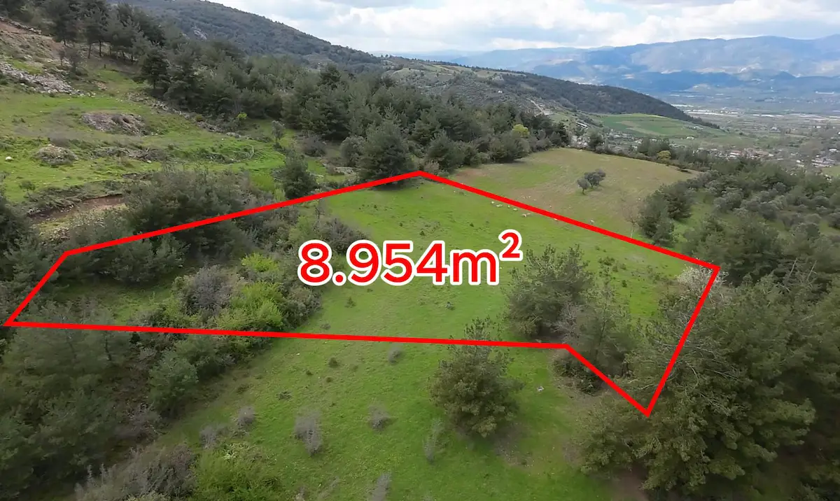 REMAX SOFT BARIŞ BAŞOL'DAN SAFİBEY'DE 8.954M² YOLA CEPHELİ TARLA