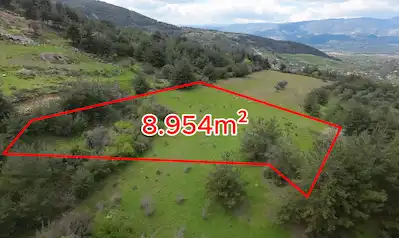 REMAX SOFT BARIŞ BAŞOL'DAN SAFİBEY'DE 8.954M² YOLA CEPHELİ TARLA
