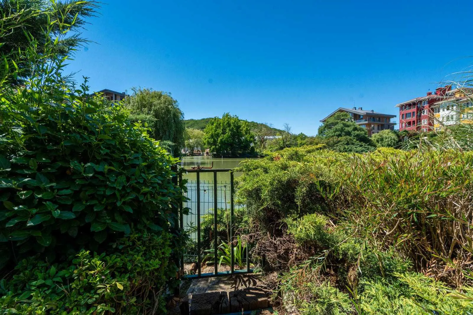 Property image 54