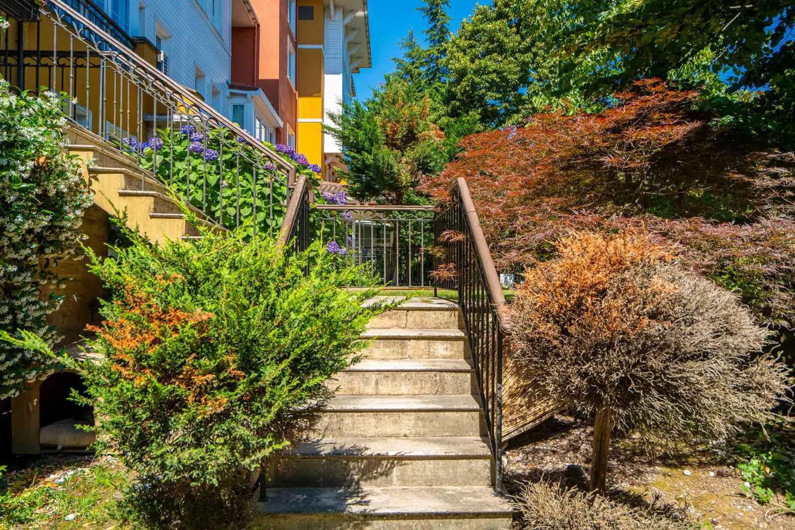 Property image 53