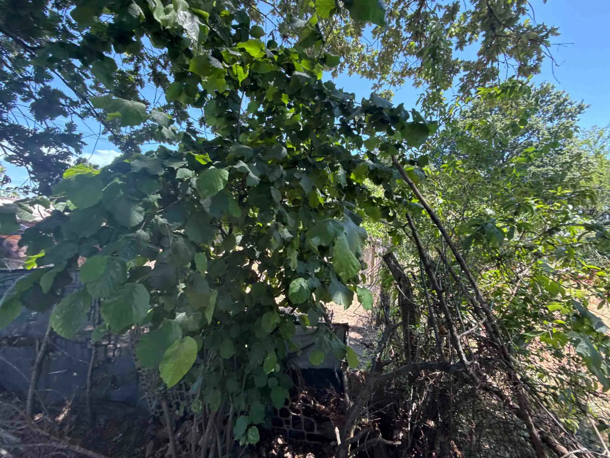 Property image 31