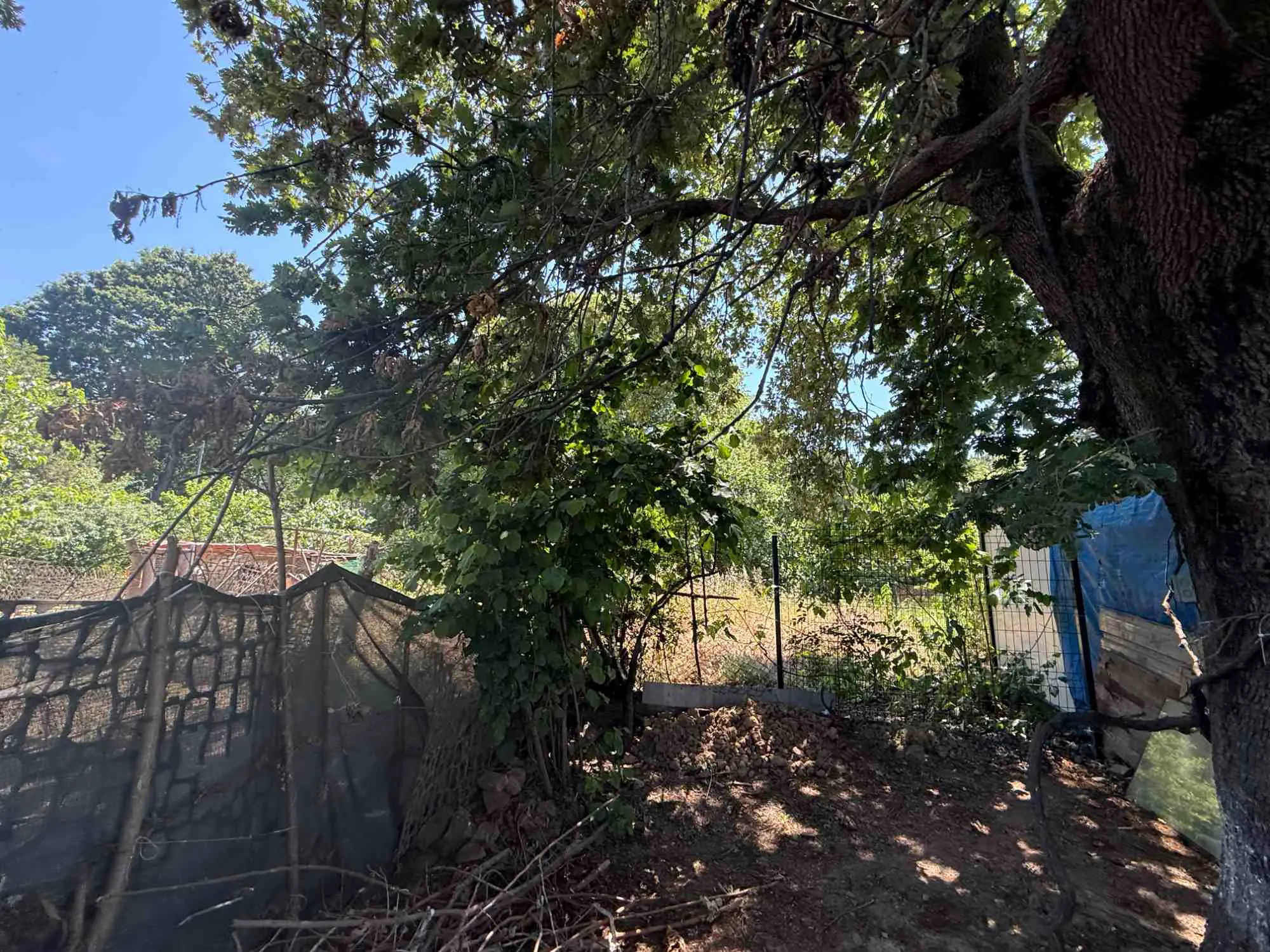 Property image 16