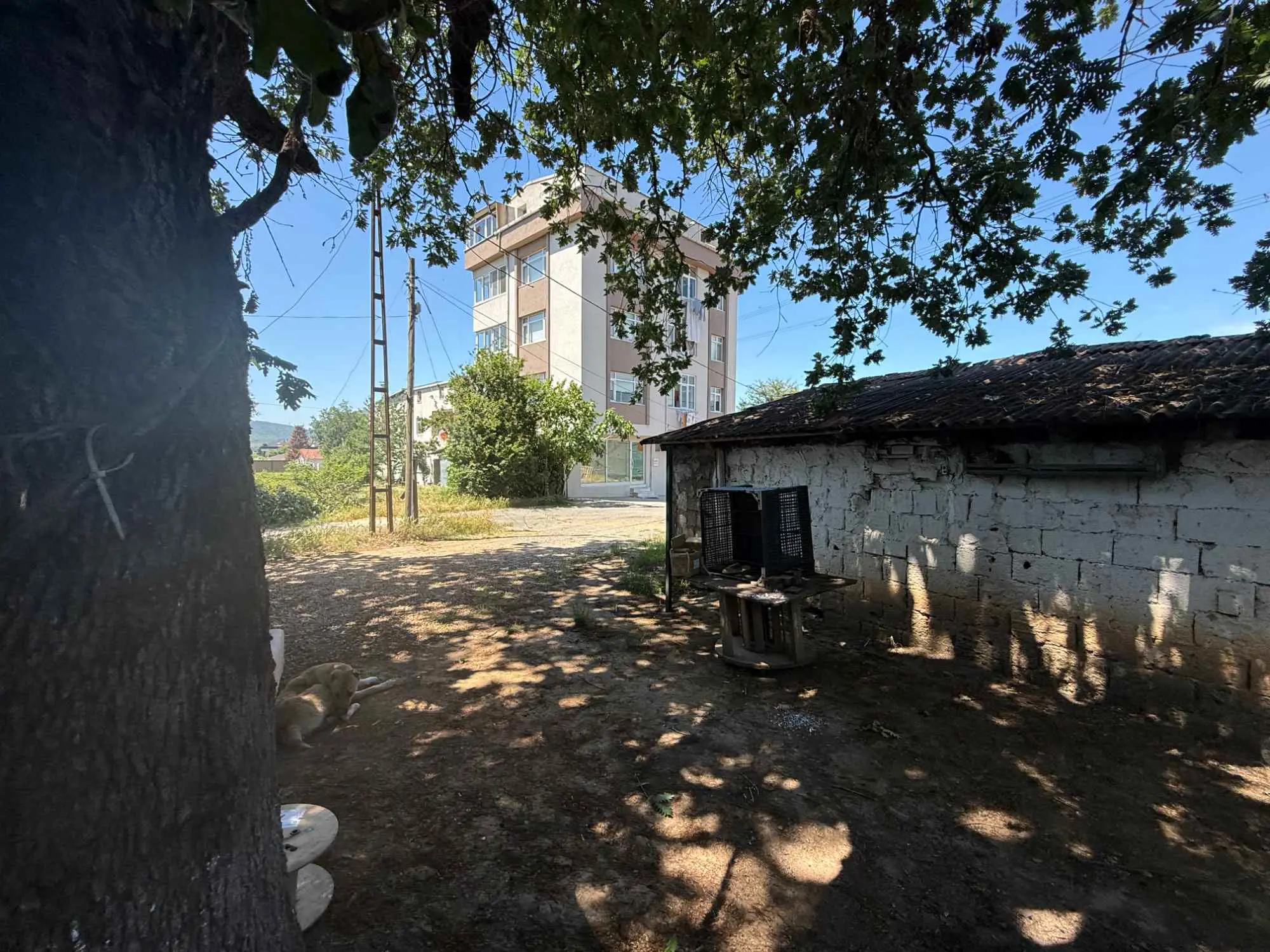 Property image 37