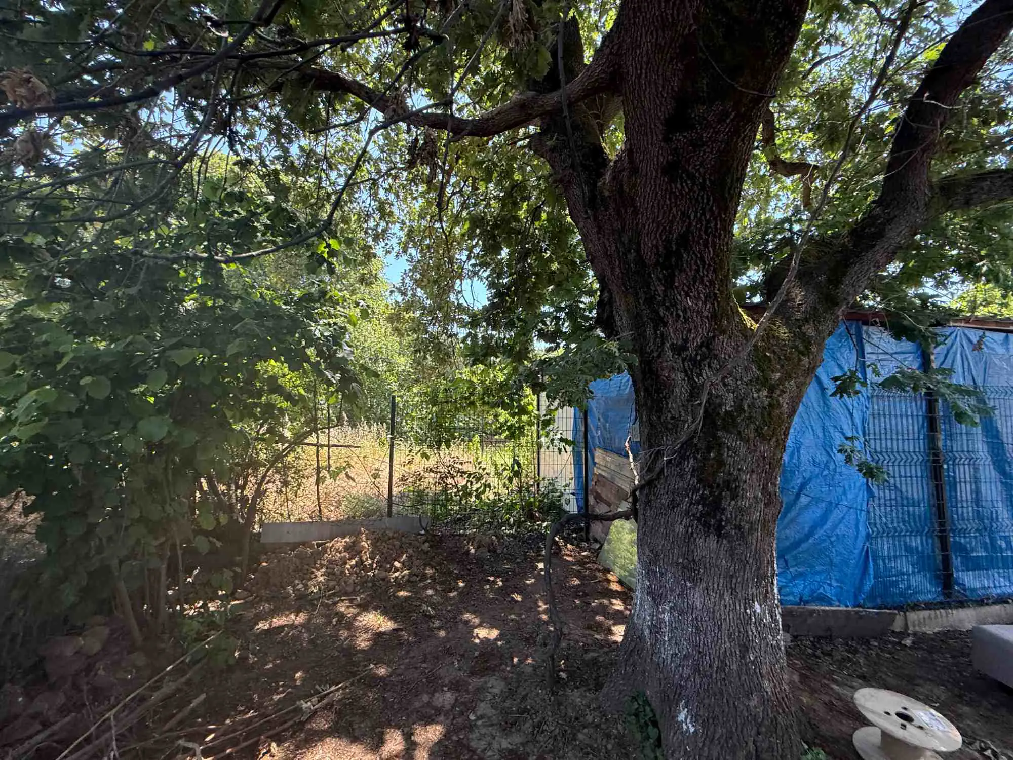 Property image 18