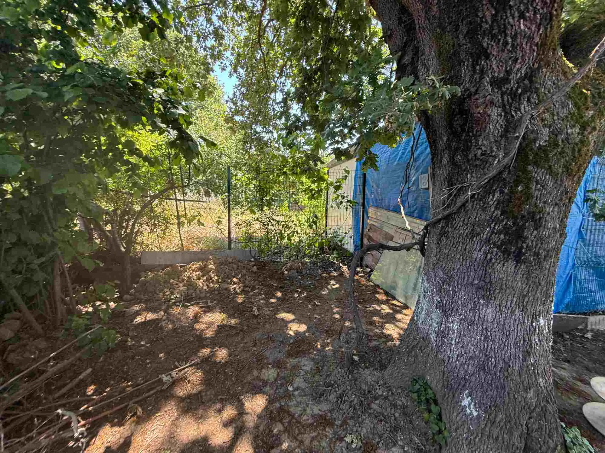 Property image 40
