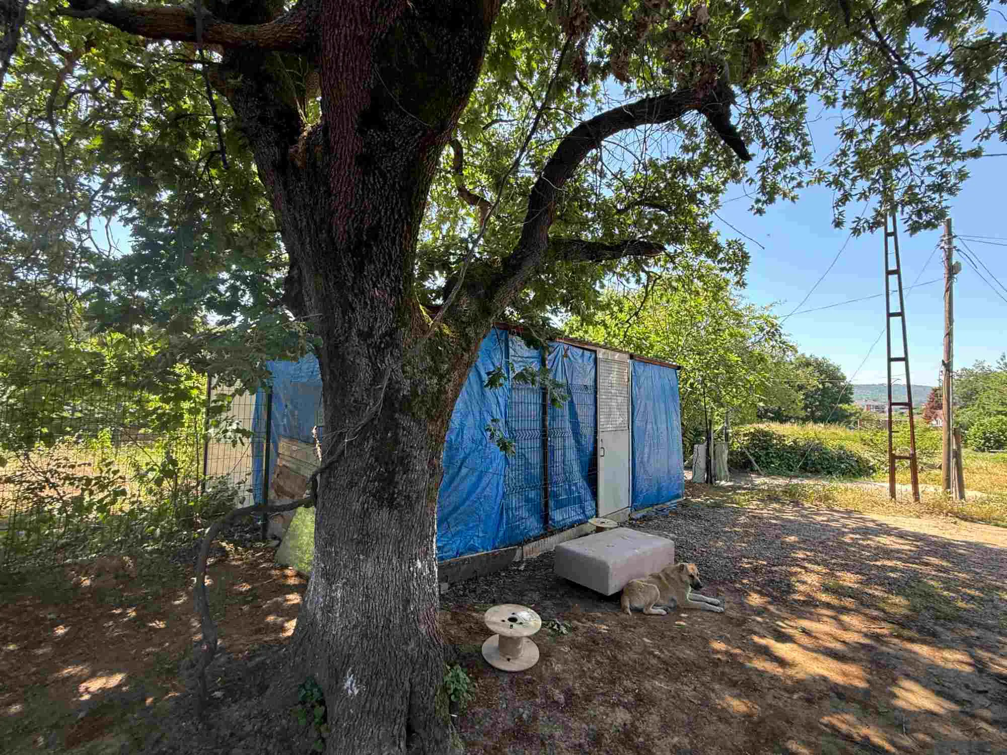 Property image 20