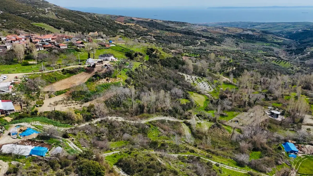 ŞARKÖY ÇENGELLİ GÖLÖNÜ'NDE 1.156 M² KAVAKLIK