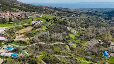 ŞARKÖY ÇENGELLİ GÖLÖNÜ'NDE 1.156 M² KAVAKLIK