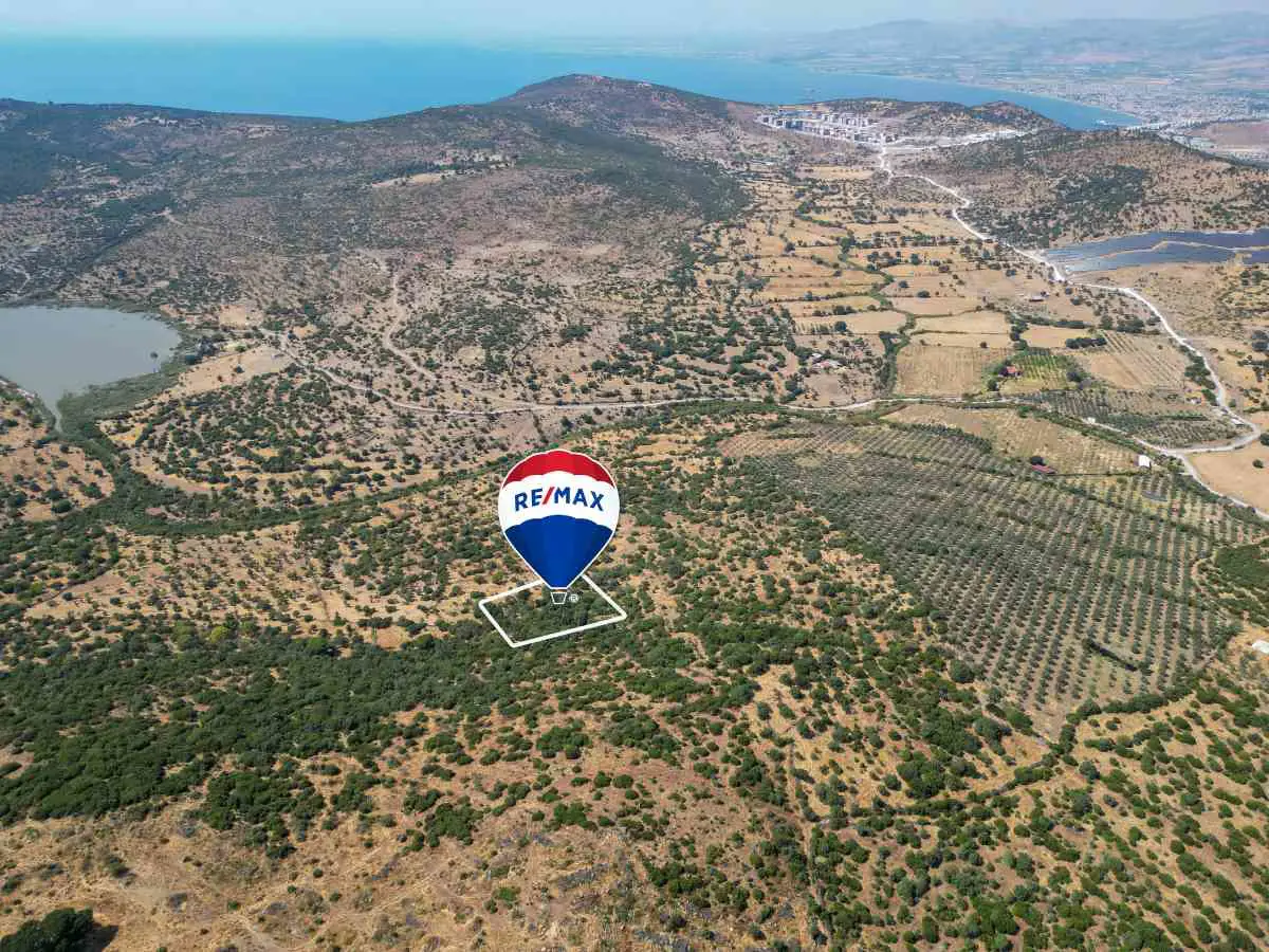 DIKILI KATIRALANI KÖYÜNDE SATILIK ZEYTINLI TARLA
