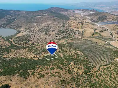 DIKILI KATIRALANI KÖYÜNDE SATILIK ZEYTINLI TARLA