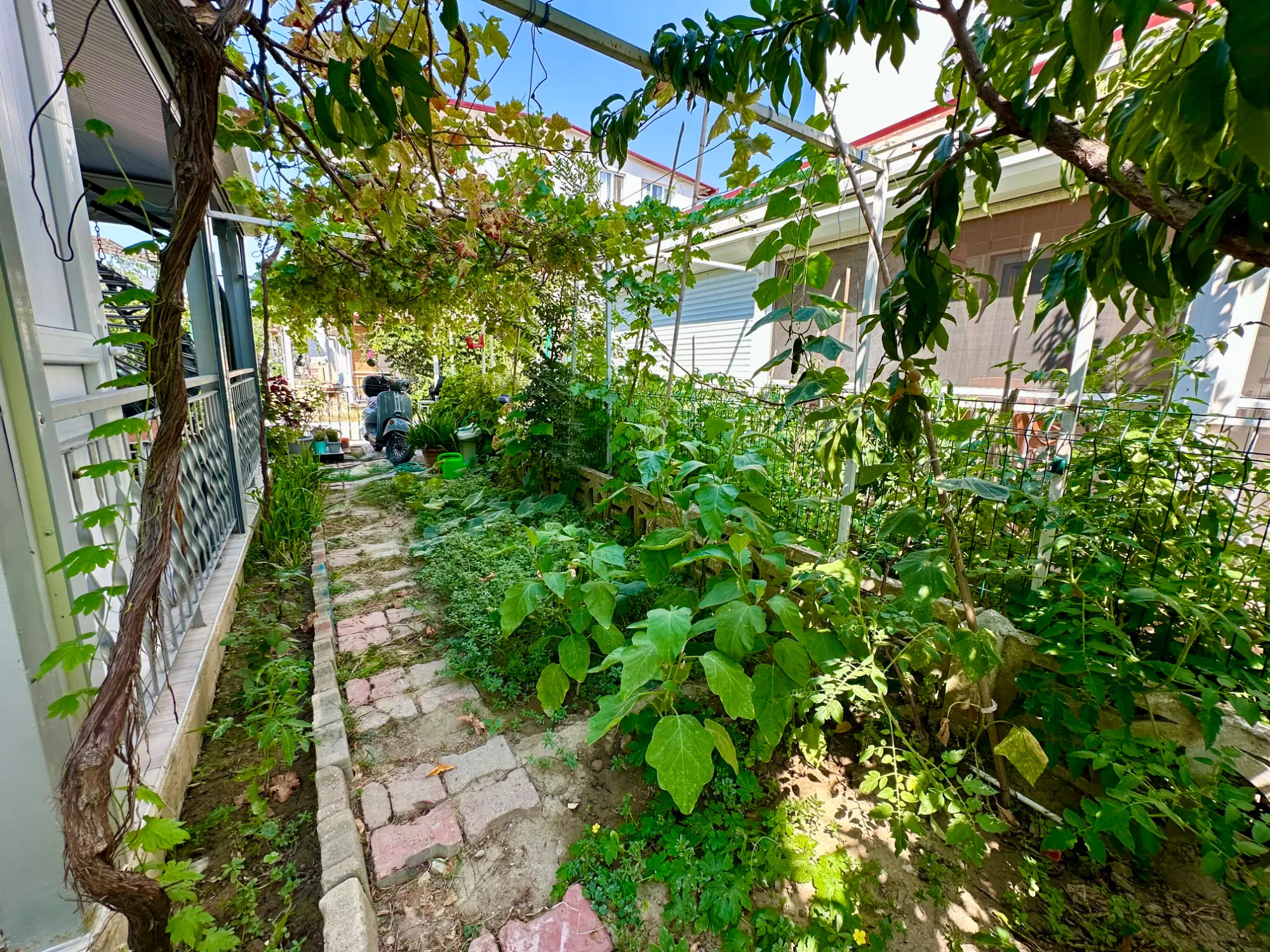 Property image 18