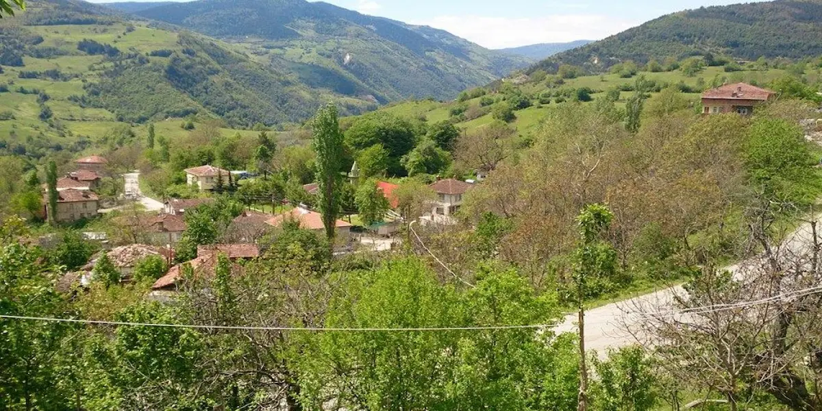 SİNOP ŞAMLIOĞLU’NDA 7.350 M² FIRSAT FİYATLI YATIRIMLIK TARLA