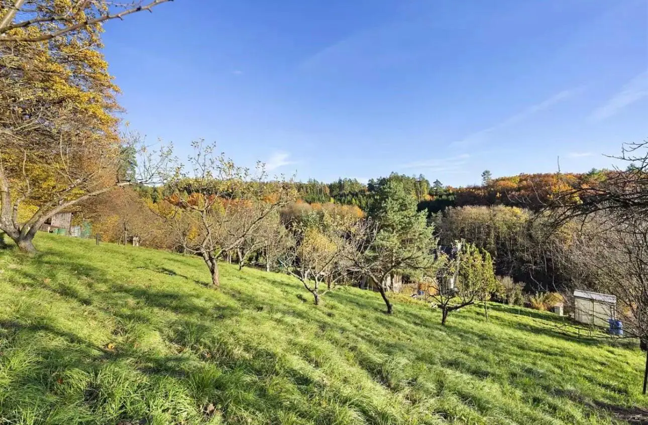 Property image 18