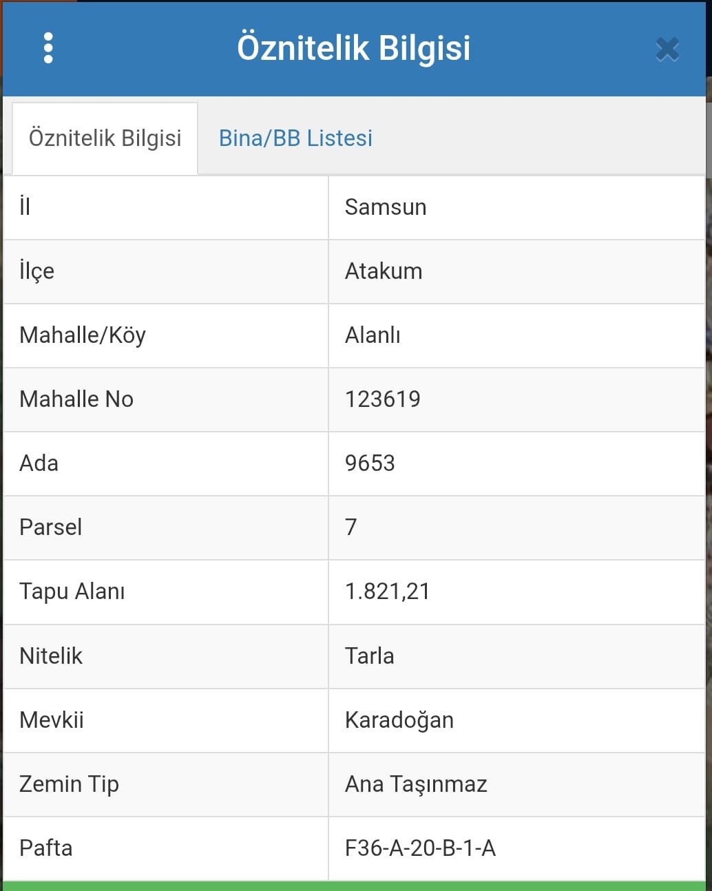 ALANLI'DA PARSELİZASYONU YAPILMIŞ TARLA HİSSESİ
