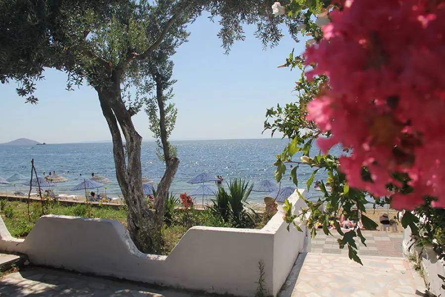 Property image 7