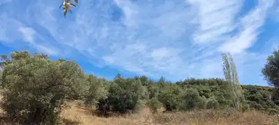 KUŞADASI EGE MAH, FULL DENIZ MANZARALI IMARLI SATILIK ARSA