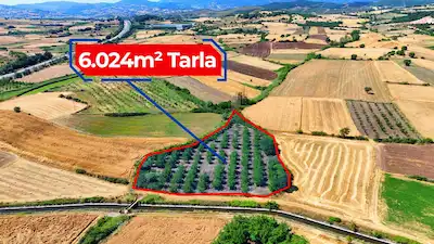 RE/MAX İNCİ'DEN PAMUKÇU MAH. SATILIK 6.024 M2 CEVİZLİK 