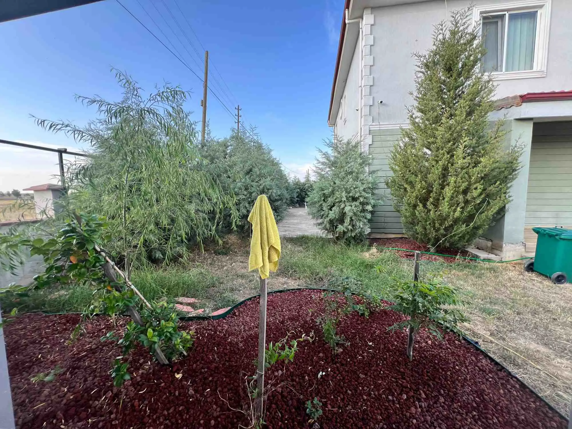 Property image 21